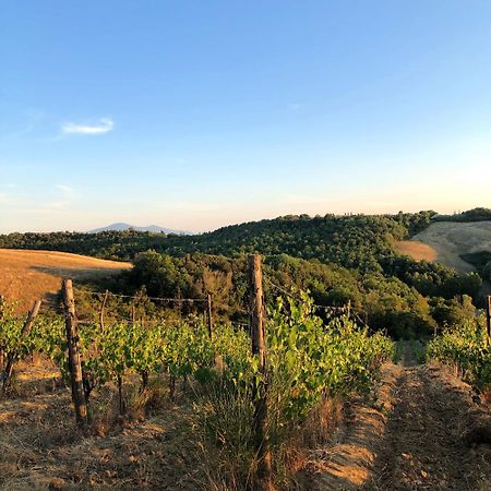 Podere Sole Trequanda Exterior foto
