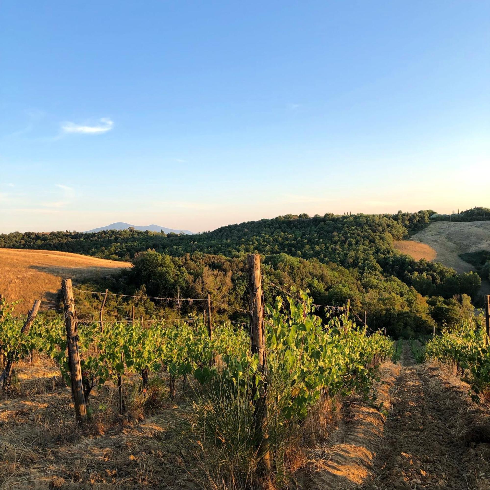 Podere Sole Trequanda Exterior foto